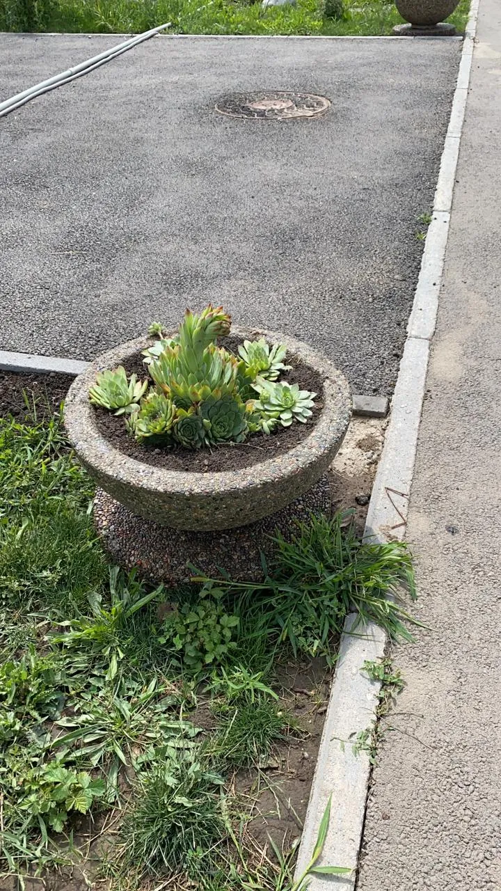Частные дома