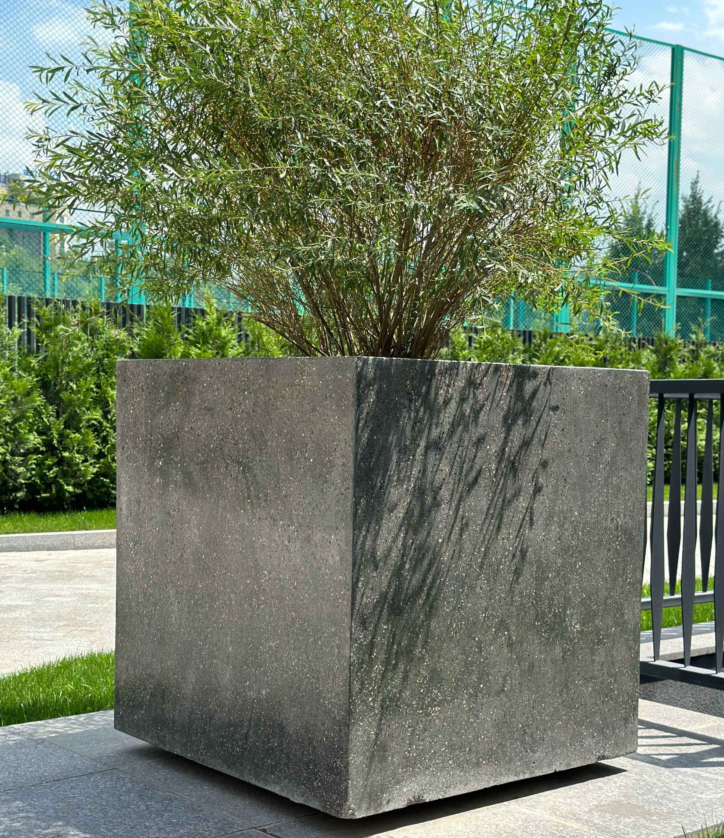 ЖК Люмьера БазисА